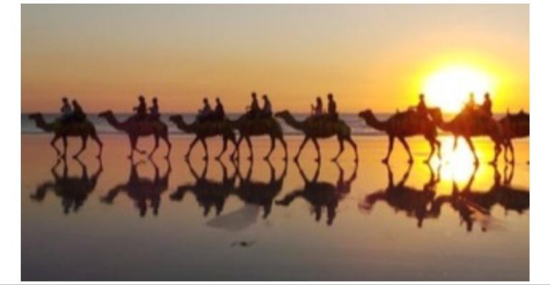 CRUISE_Broome_camels.jpg