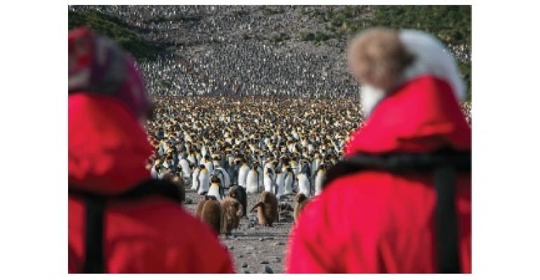 CRUISE_king_penguines_Antarctica_AK_Photo_Richard_Harker.jpg